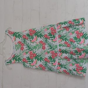 Janie and Jack Drop Waist Floral Dress Size 4, Pink and Green